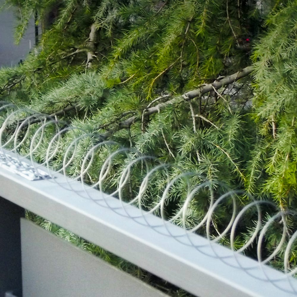 Disuasorio Espiral para Palomas 5 m – Acero Inoxidable