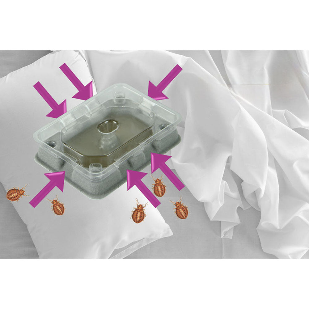 Trampas para Chinches de Cama – Pack de 4 Unidades – Weitech